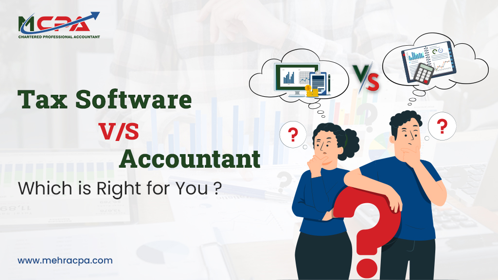 tax software vs accountant